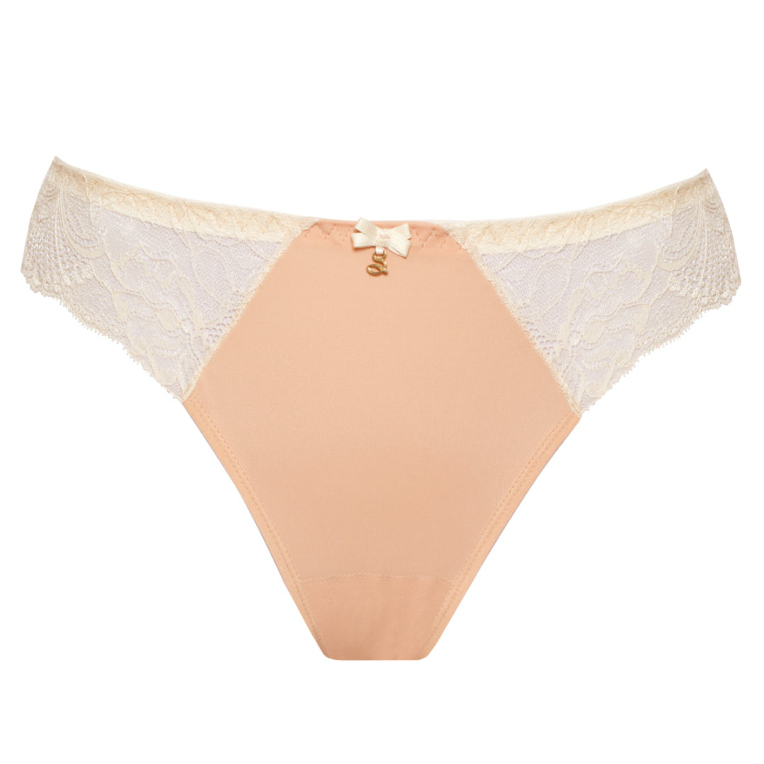 Sheer Mesh Tulle Embroidered Tanga Panty Anabelle