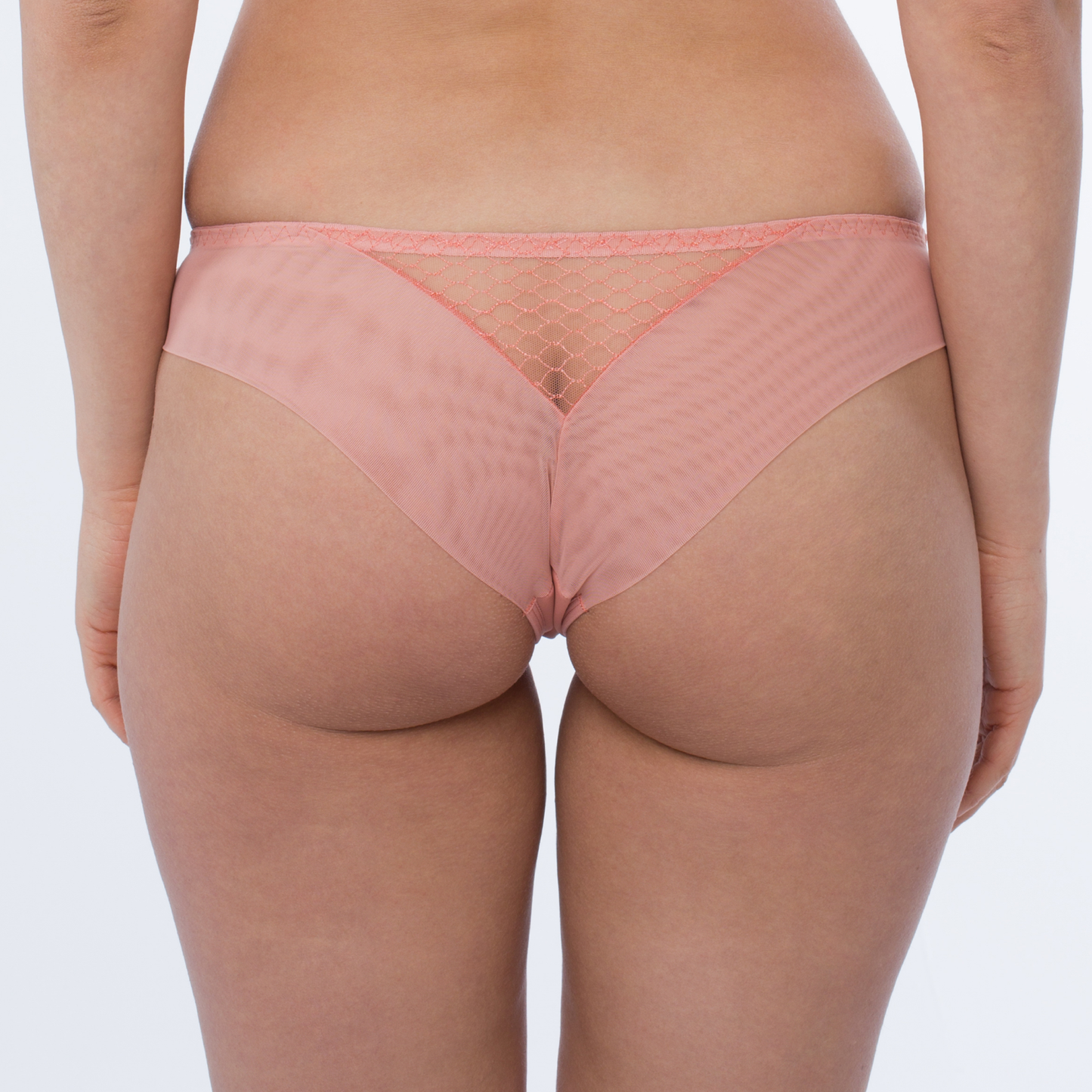 Sheer Mesh Tulle Tanga Panty Lea